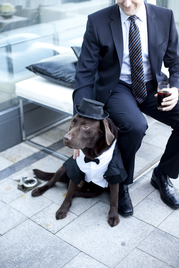 Groom sitting with his dog. The dog is dresses in a tux and hat- wedding photo by top Canadian wedding photographer Rebecca Wood